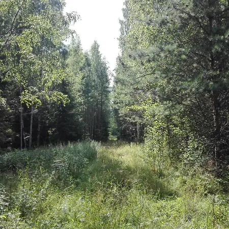 Wild Korgemae Farma Kanassaare