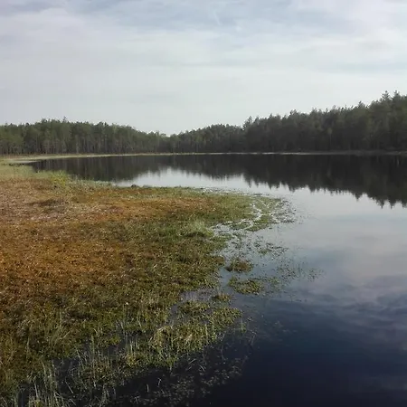 Wild Korgemae Kanassaare